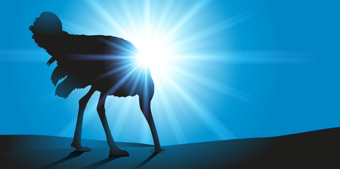 AUTRUCHE - Tete dans le sable